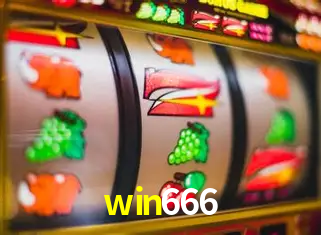 win666